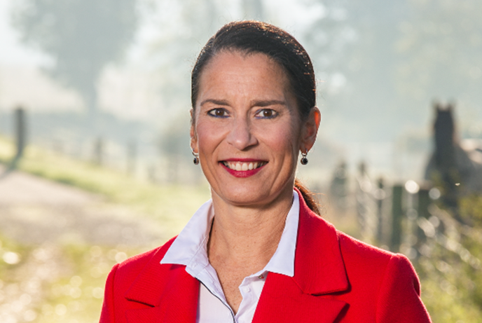 tegel_afbeelding