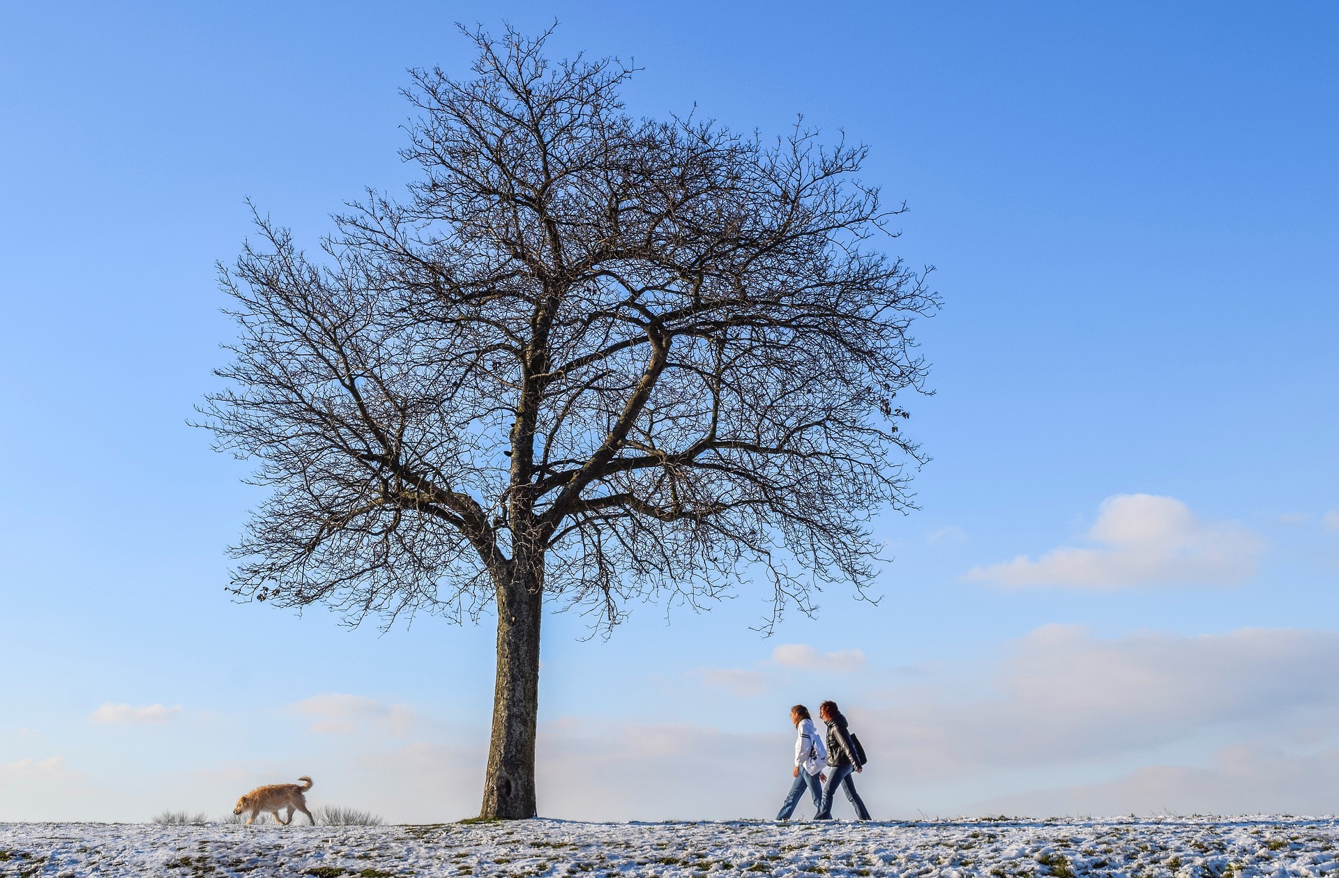 Winterwandeling ecsplore december 2022